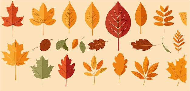 Ilustración de vector 2D conjunto hojas de otoño estilo plano de dibujos animados