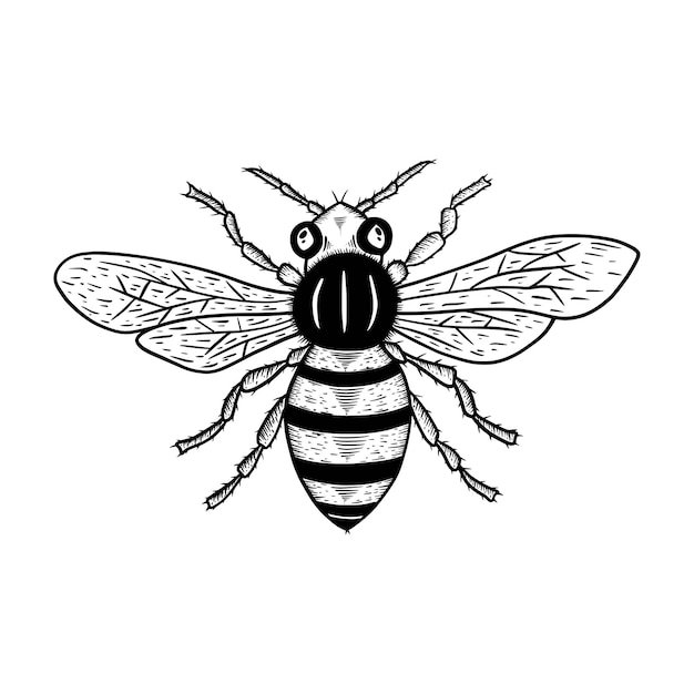 Ilustración de vector de abeja aislado sobre fondo blanco