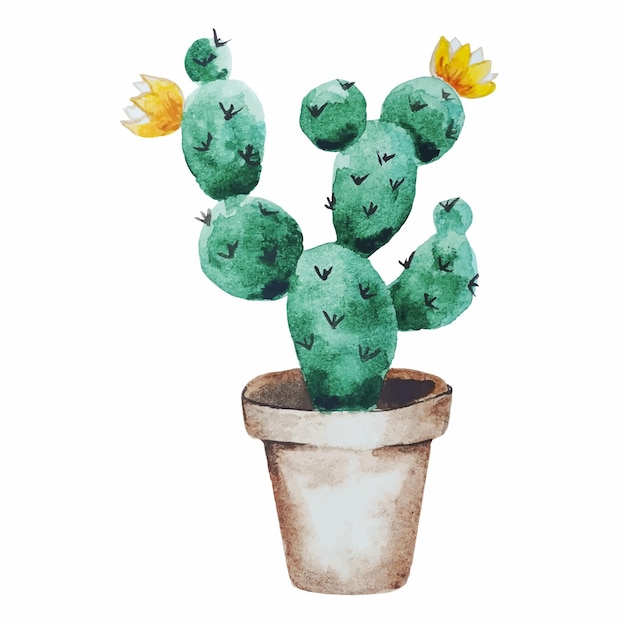 Ilustración de vector de acuarela de cactus en maceta floral clipart