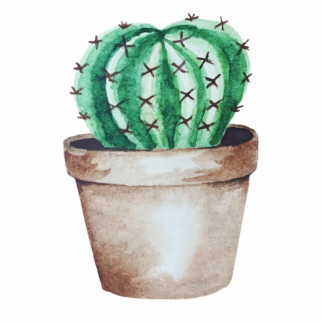 Ilustración de vector de acuarela de cactus en maceta floral clipart