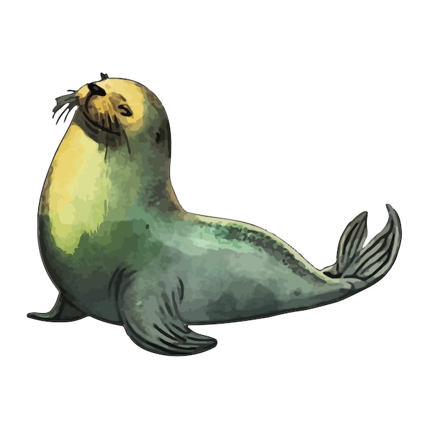 Vector ilustración del vector de acuarela de la foca
