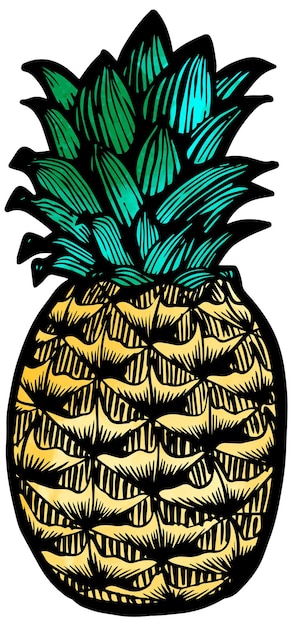 Ilustración de vector de acuarela de ilustración de dibujado a mano de piña