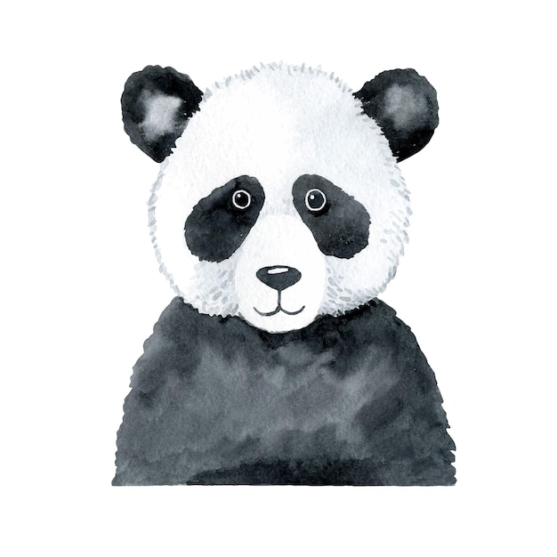 Ilustración de vector de acuarela de panda aislado en blanco Imágenes prediseñadas de oso panda bebé dibujado a mano