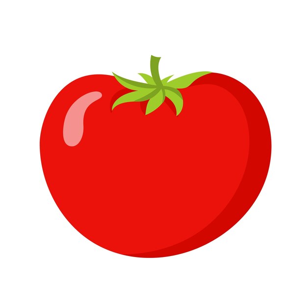 Ilustración de Vector de agricultura de jardinería de tomate aislado en blanco