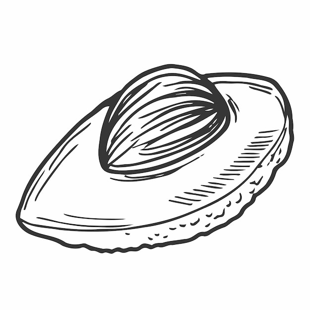 Ilustración de vector de aguacate en estilo doodle