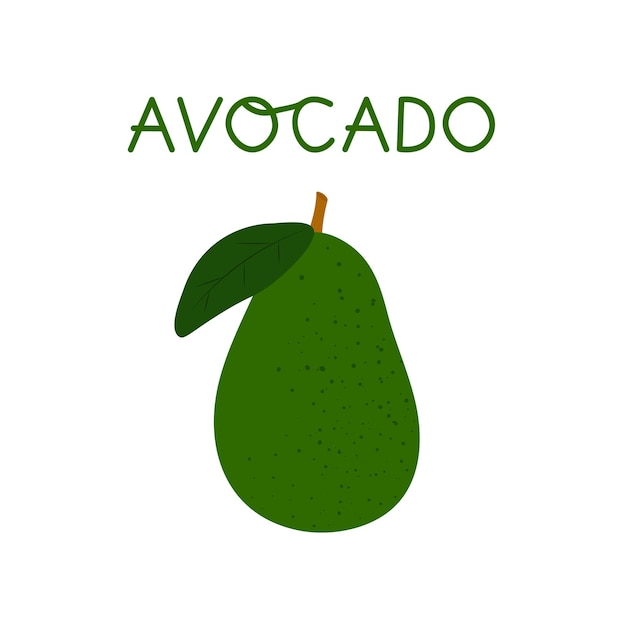 Ilustración de vector aislado de aguacate de dibujos animados sobre fondo blanco