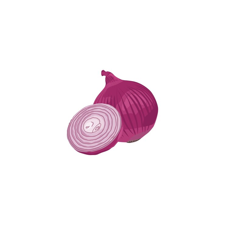 Vector ilustración de vector aislado de cebolla vegetal fresca