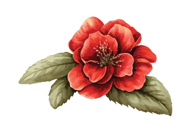 Ilustración de vector aislado de imágenes prediseñadas de flor roja