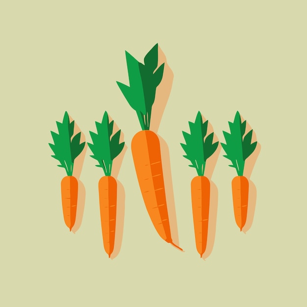 Vector ilustración de vector aislado naranja vegetal zanahorias
