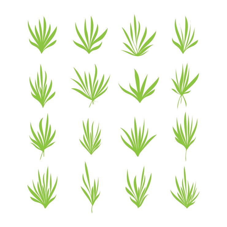 Vector ilustración del vector aislado de la planta de hierba de hojas verdes