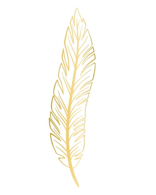 Vector ilustración de vector aislado de pluma de oro