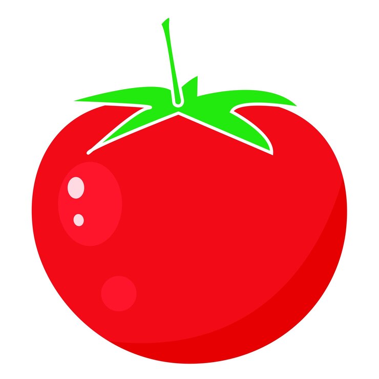 Vector ilustración de vector aislado de tomate rojo solo