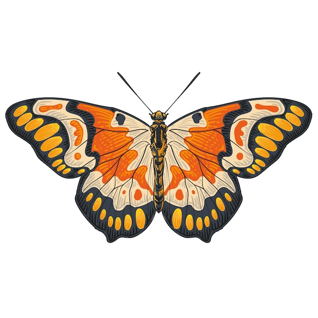 Ilustración de vector de alas abiertas de mariposa