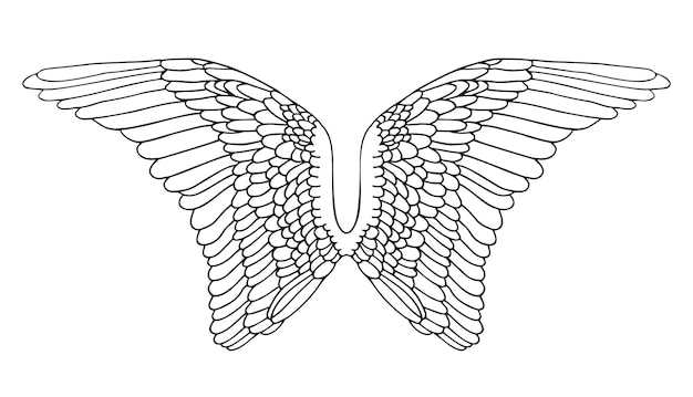 Ilustración de vector de alas sobre fondo blanco estilo blanco y negro