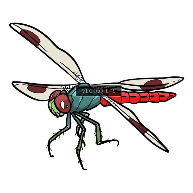 Vector ilustración del vector de animales silvestres del insecto libélula