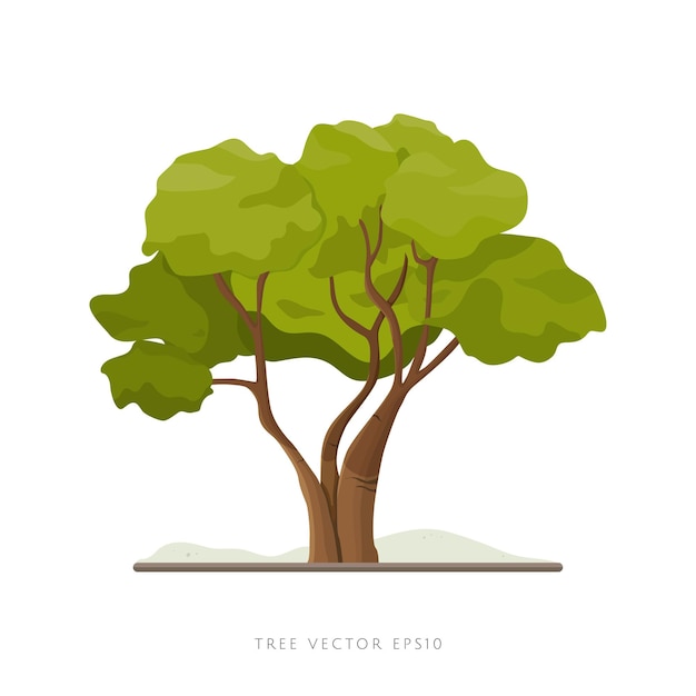 Ilustración de vector de árbol grande aislado sobre fondo blanco