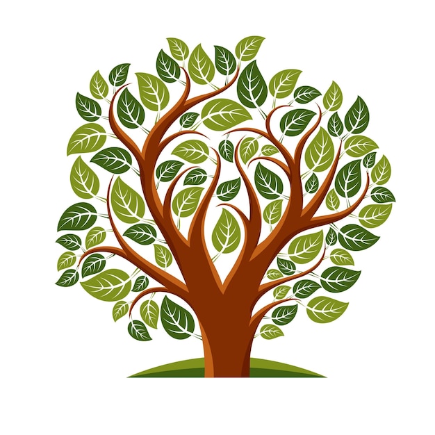 Ilustración de vector de árbol con hojas y ramas en forma de corazón. Imagen de idea de amor y maternidad.