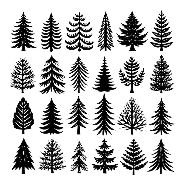 Ilustración del vector del árbol de pino