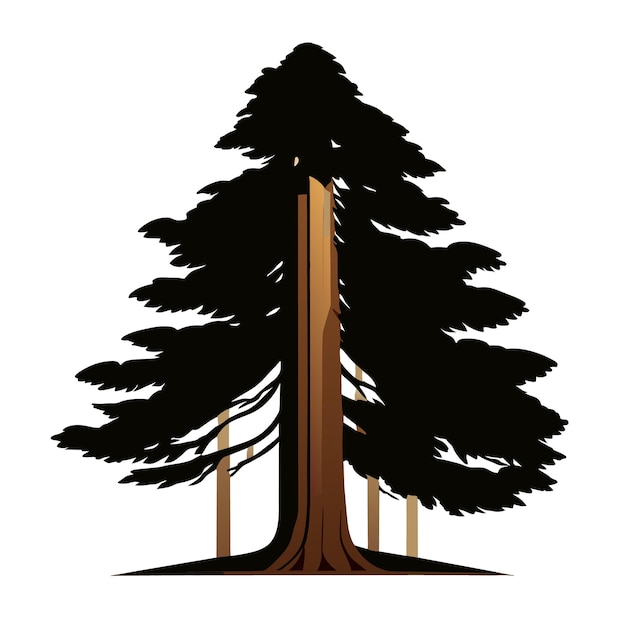 Ilustración de vector de árbol de secoya sobre un fondo blanco puro