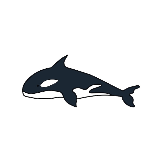 Ilustración de vector de ballena asesina Ilustración de ballena Ocra en vector