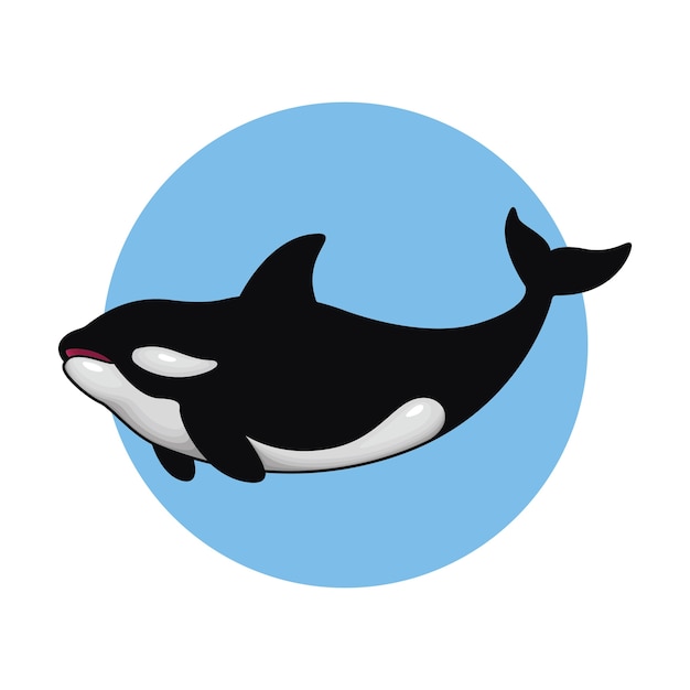 Ilustración de vector de ballena asesina