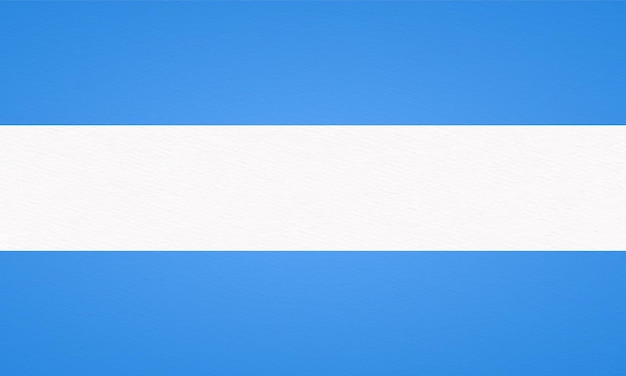 Vector ilustración de vector de bandera argentina con código de color preciso y textura de papel