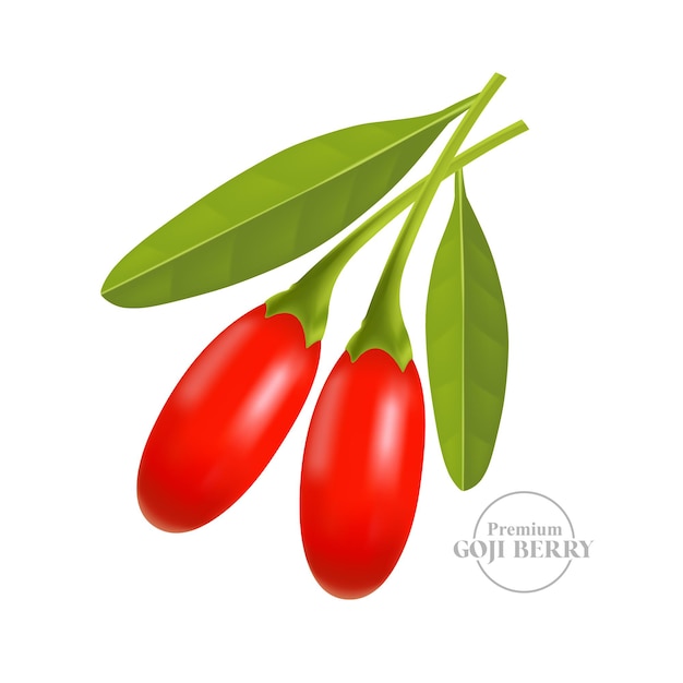 Ilustración de vector de baya de Goji