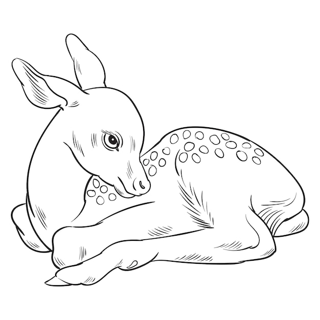Ilustración de vector blanco y negro de cervatillo de ciervo bebé