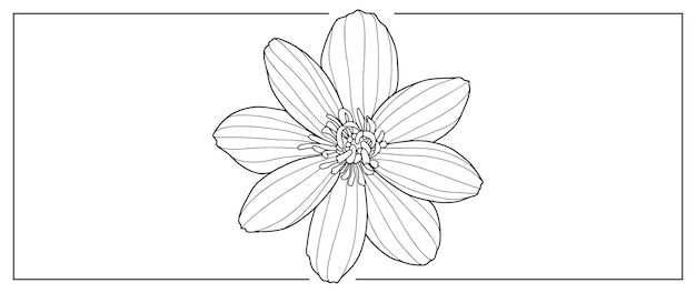 Ilustración de vector blanco y negro de una flor para cubiertas fondos presentaciones libros para colorear