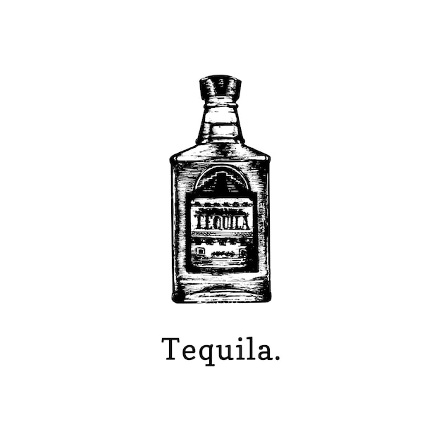 Vector ilustración de vector de botella de tequila boceto dibujado a mano de bebida alcohólica para menú de restaurante de etiqueta de barra de café