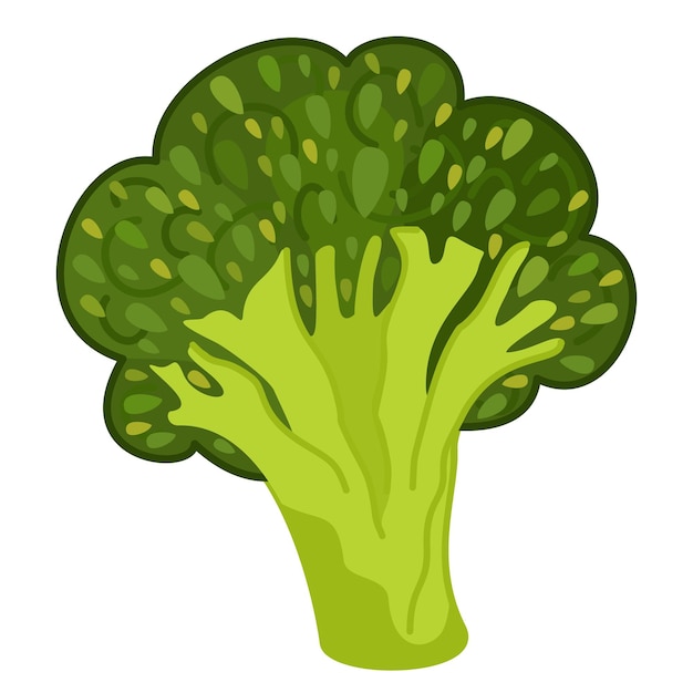 Ilustración de vector de brócoli aislado sobre fondo blanco