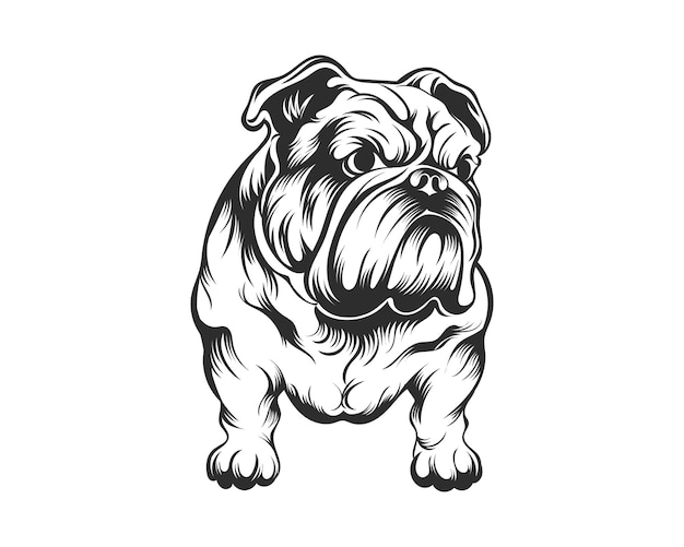 Vector ilustración de vector de bulldog blanco y negro