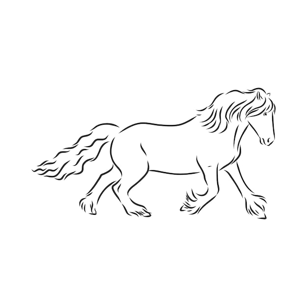 Ilustración de vector de caballo contorno blanco y negro hermoso caballo icono de caballo