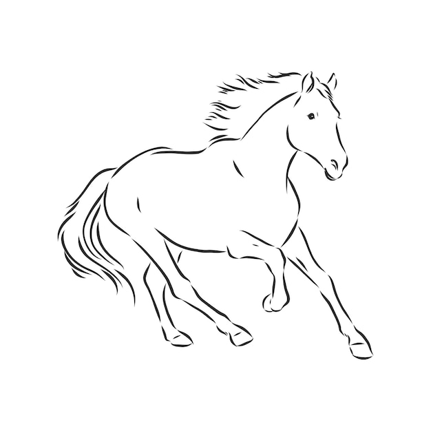 Ilustración de vector de caballo contorno blanco y negro hermoso caballo icono de caballo