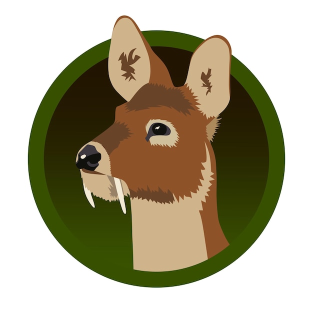 Ilustración de vector de cabeza de ciervo almizclero realista