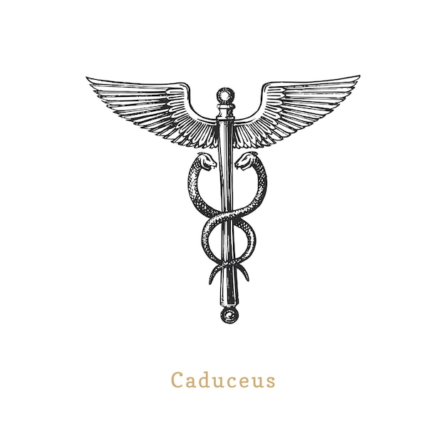 Vector ilustración de vector de caduceo en estilo de grabado pastiche vintage de signo esotérico y oculto boceto dibujado de símbolo mágico y místico