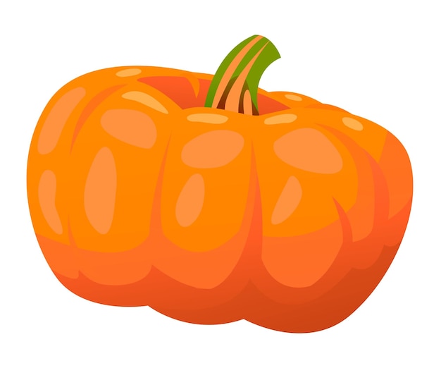 Ilustración de vector de calabaza sobre un fondo blanco