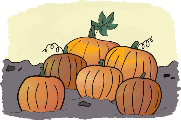 Ilustración de vector de calabaza
