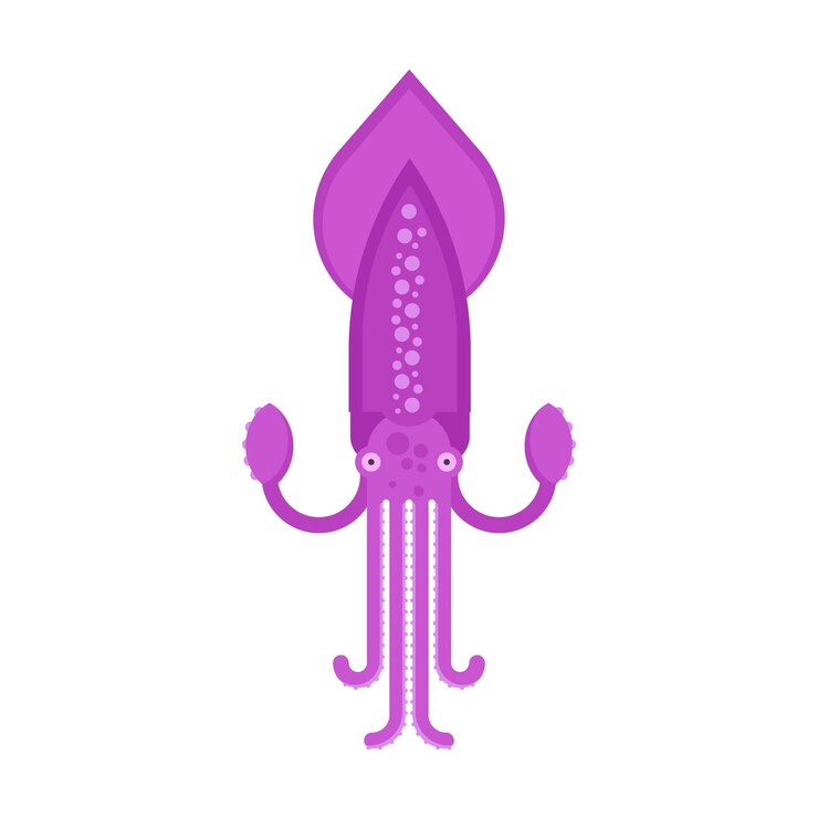 Vector ilustración del vector del calamar gigante