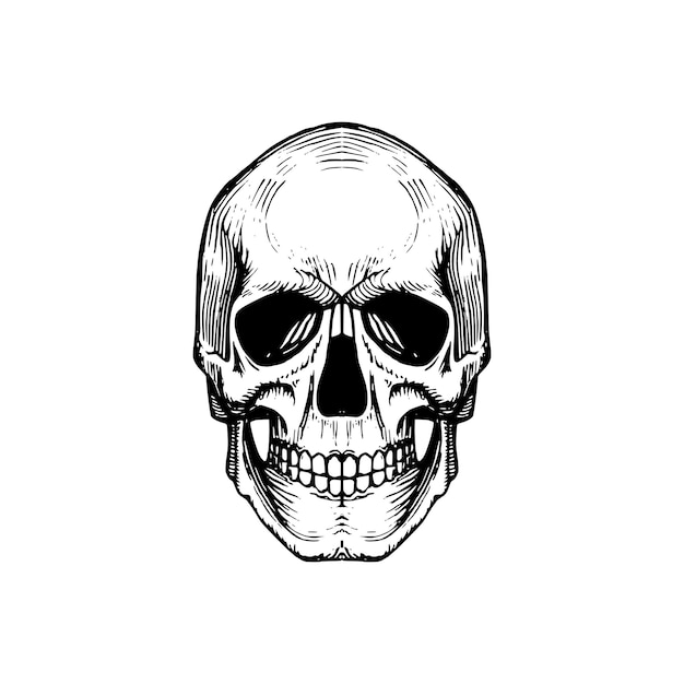 Ilustración de vector de calavera en estilo de grabado. Concepto de diseño de invitación a fiesta, tarjeta de felicitación. Halloween, fondo del día de los muertos.