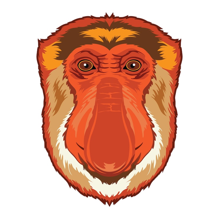 Vector ilustración de vector de cara de mono probóscide perfecta para el diseño de camisetas para niños y adultos