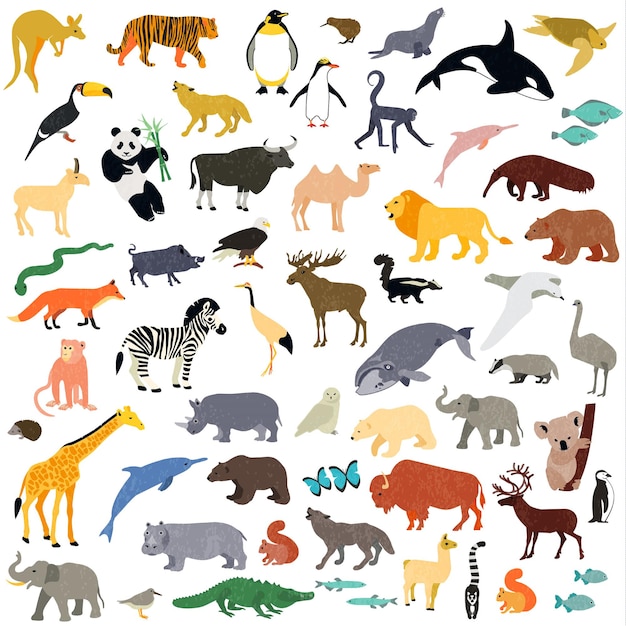 Vector ilustración de vector de caras de animales.