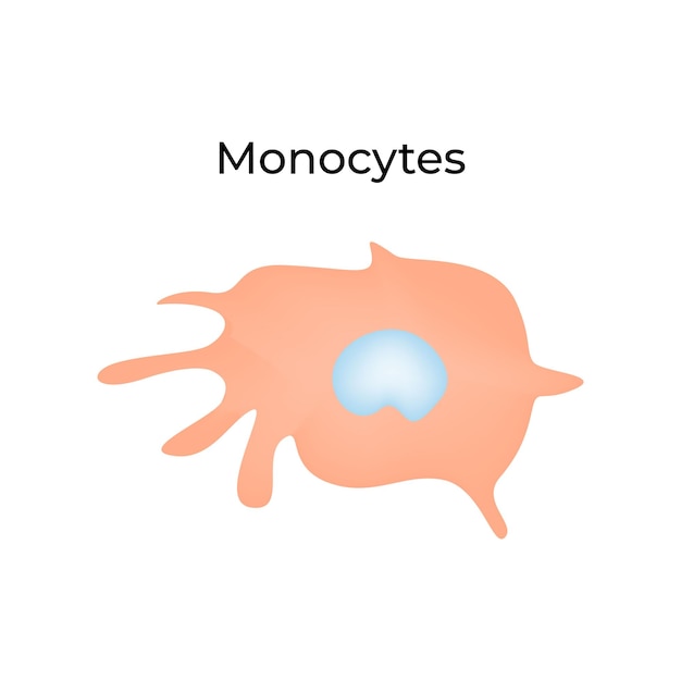 Ilustración del vector celular de los monocitos