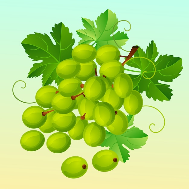 Vector ilustración de vector de chardonnay