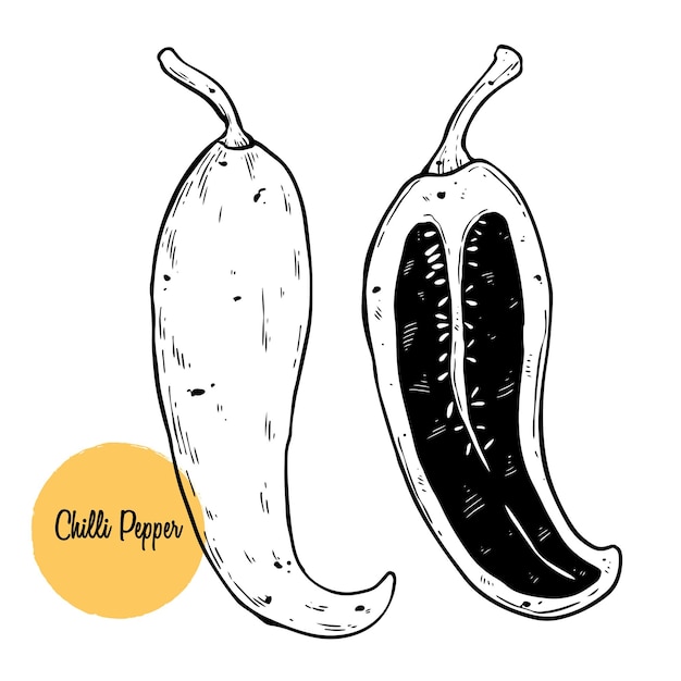 Ilustración de vector de chile dibujo a mano. verduras en rodajas incompletas, pimienta mexicana picante picante