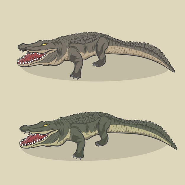 Ilustración de vector de cocodrilo. Caimán