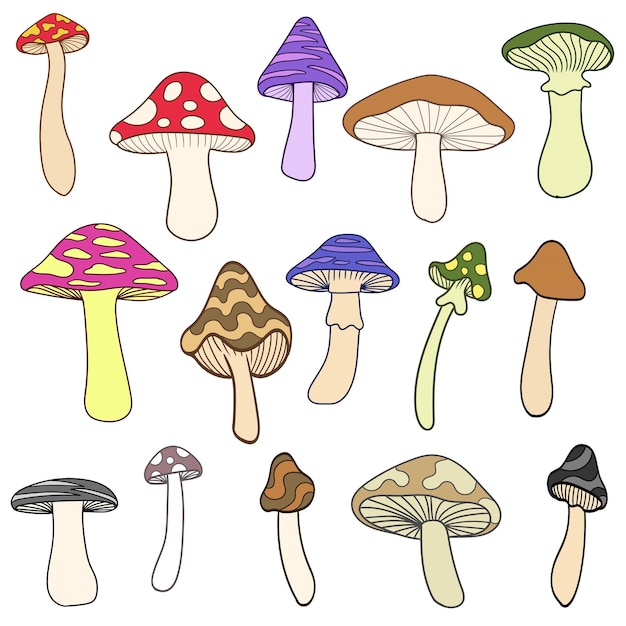 Ilustración del vector de colección del conjunto de elementos de set de set