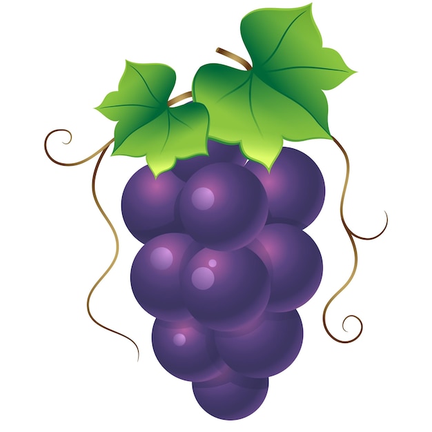 Ilustración de vector de color de icono de uva