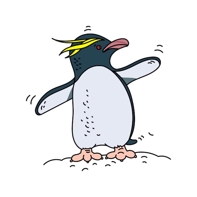 Ilustración de vector de color Pingüino de macarrones aislado sobre fondo blanco