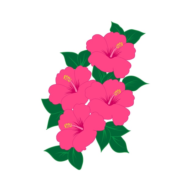 Ilustración de vector de color rosa floral de flor de hibisco